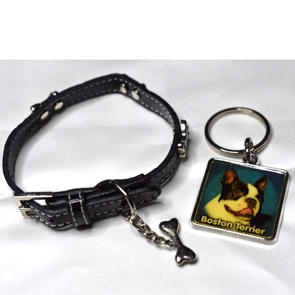 Black Leather Silver Tone Rhinestone Accent Bones Dog 9"-11"  Collar/ Key Chain